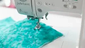 Baby Lock Jubilant Sewing Machine DROP FEED FOR FREE-MOTION TECHNIQUES