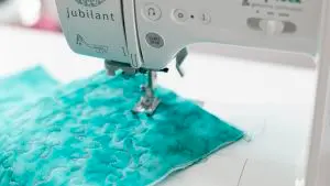 Baby Lock Jubilant Sewing Machine DROP FEED FOR FREE-MOTION TECHNIQUES
