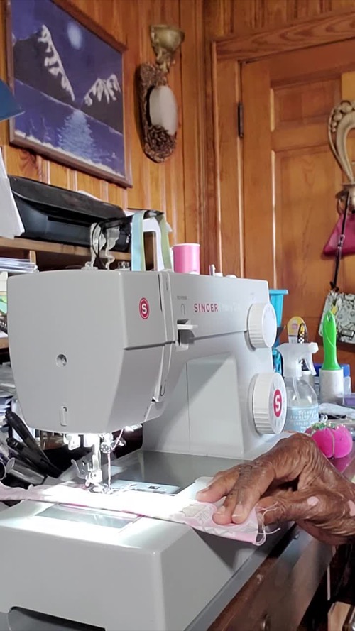 Customer photo of a project sewn with the Singer 4423