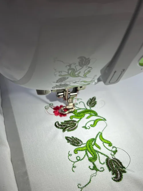 Embroidery photographed by an SE2000 owner.
